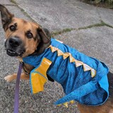 Entry image for Gordon