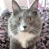 Entry image for Miles