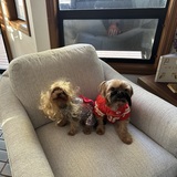 Entry image for Benni & Eevee aka T&T