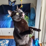 Entry image for Breezy