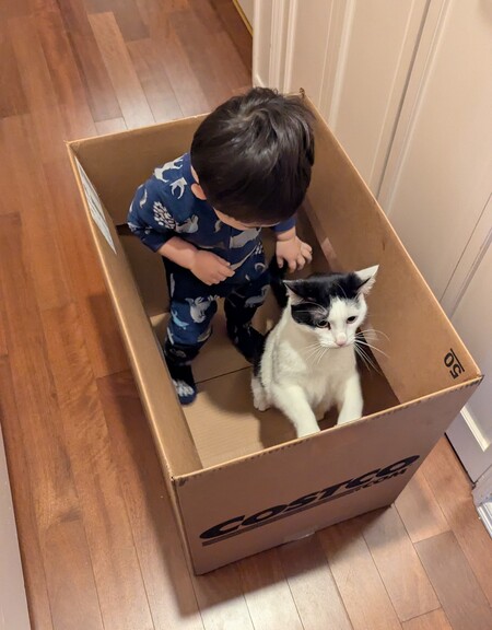 Entry image for DaBaby. Clicking this image will show a larger photo