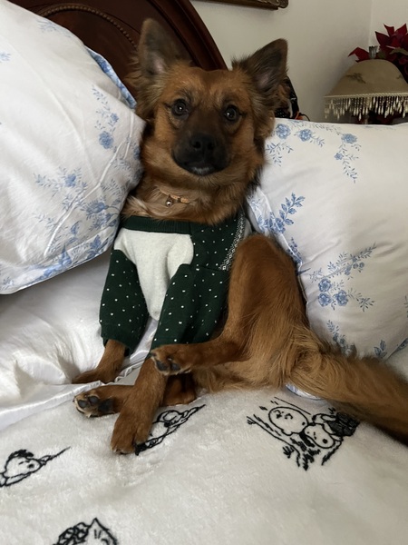 Entry image for Haru. Clicking this image will show a larger photo