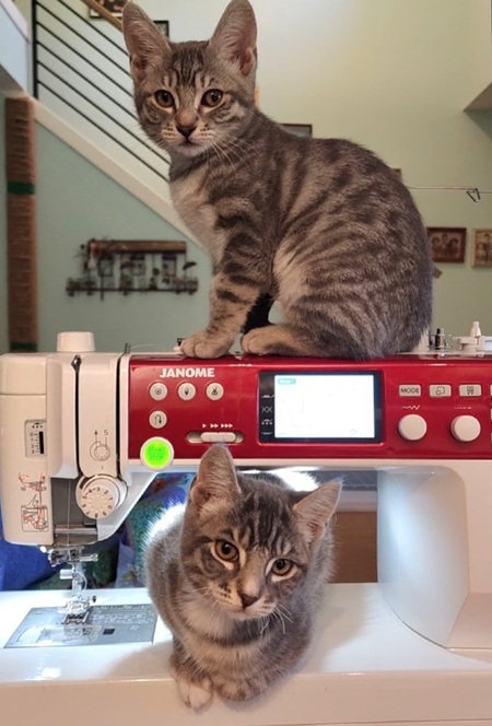 Entry image for Two of The Seven Dwarfs . Clicking this image will show a larger photo