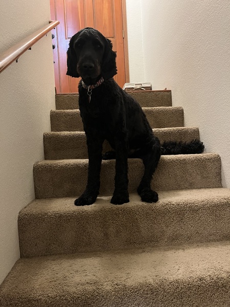 Entry image for Captain. Clicking this image will show a larger photo