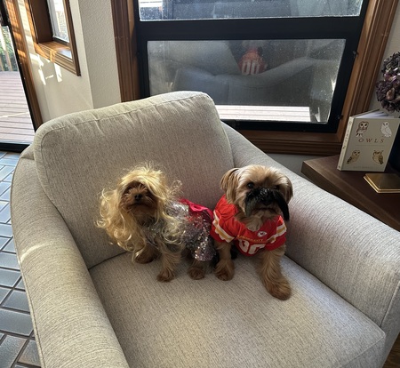 Entry image for Benni & Eevee aka T&T. Clicking this image will show a larger photo