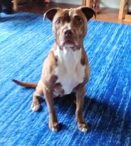 Entry image for Kai. Clicking this image will show a larger photo