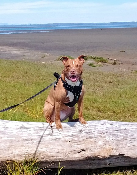 Entry image for Kai. Clicking this image will show a larger photo