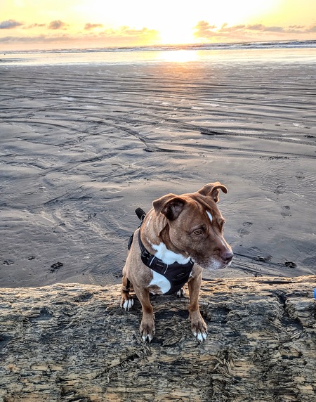 Entry image for Kai. Clicking this image will show a larger photo