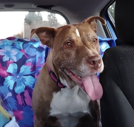 Entry image for Kai. Clicking this image will show a larger photo