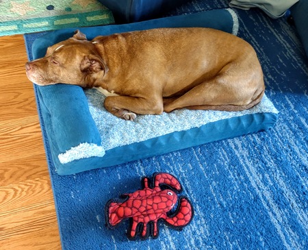 Entry image for Kai. Clicking this image will show a larger photo