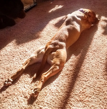 Entry image for Kai. Clicking this image will show a larger photo