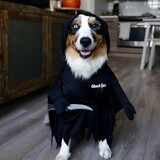 Entry image for Blue - The GhostFace Killer!