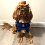 Entry image for Ozzy the New Sheriff in Town