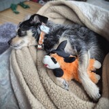 Entry image for Joy the Snuggle Monster (& her accomplice... Lamb Chop Witch)