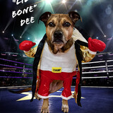 Entry image for Daisy "Lil Bone" Dee