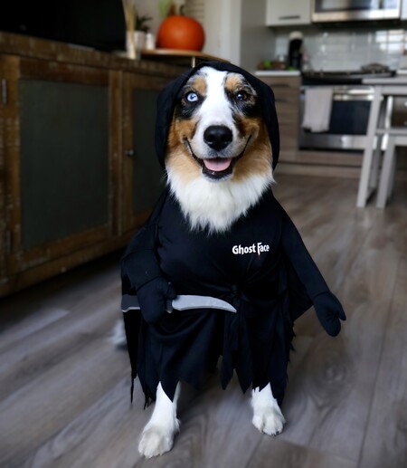 Entry image for Blue - The GhostFace Killer!. Clicking this image will show a larger photo