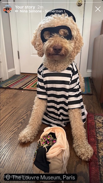 Entry image for Frisbee the Louvre Thief. Clicking this image will show a larger photo