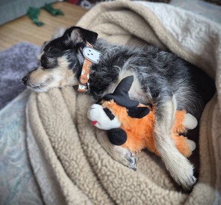 Entry image for Joy the Snuggle Monster (& her accomplice... Lamb Chop Witch). Clicking this image will show a larger photo