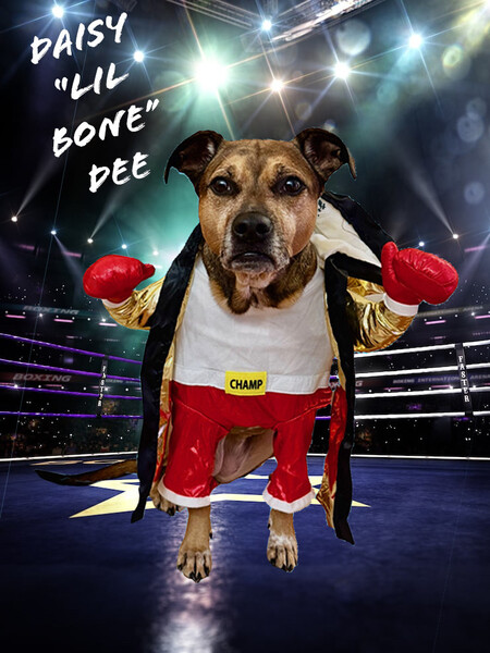 Entry image for Daisy "Lil Bone" Dee. Clicking this image will show a larger photo