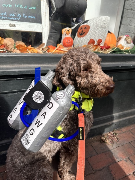 Entry image for Brodie the Scuba Diver!. Clicking this image will show a larger photo