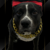 Entry image for Jax Cooper