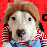 Entry image for Louie Cooper