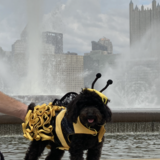 Entry image for Kiki