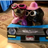 Entry image for Thelma and Louise (as Thelma and Louise)
