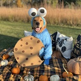 Entry image for Burton