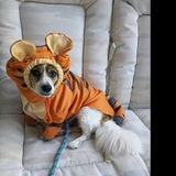 Entry image for Corey