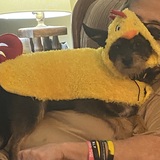 Entry image for Zoey fagan