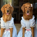 Entry image for Layla and Lizzy 