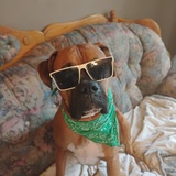 Entry image for Bowser