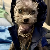 Entry image for Liddell Sly 