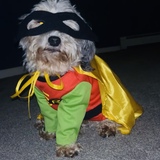 Entry image for Milo