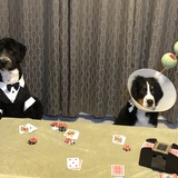 Entry image for Finn & Luna