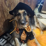 Entry image for Zoey