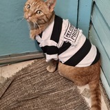 Entry image for Nick