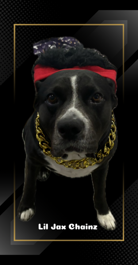 Entry image for Jax Cooper. Clicking this image will show a larger photo