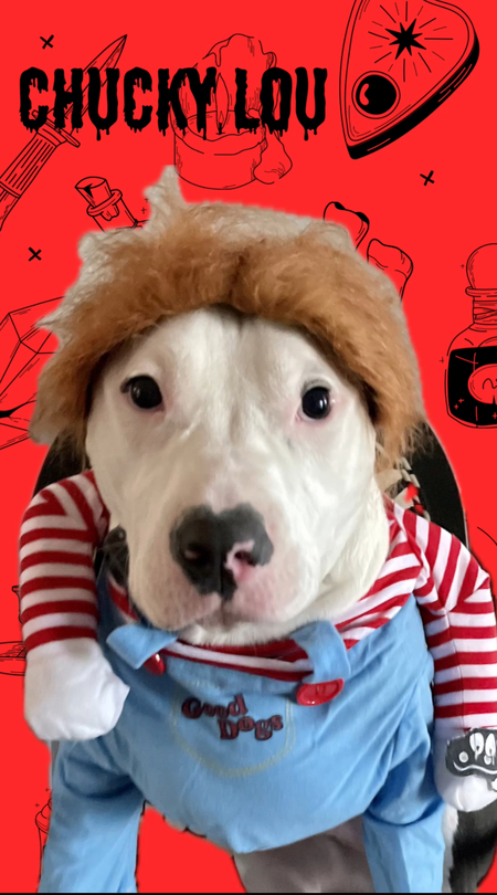 Entry image for Louie Cooper. Clicking this image will show a larger photo