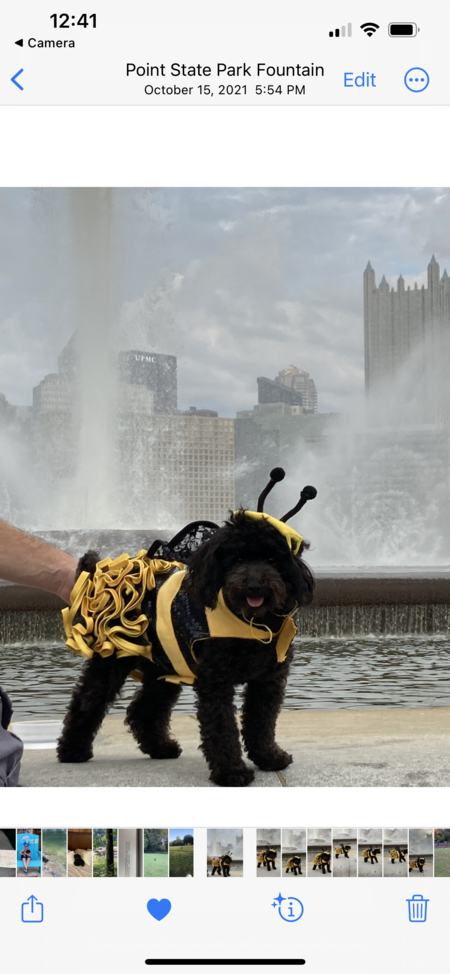 Entry image for Kiki. Clicking this image will show a larger photo