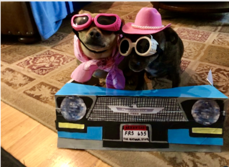 Entry image for Thelma and Louise (as Thelma and Louise). Clicking this image will show a larger photo