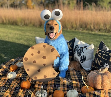 Entry image for Burton. Clicking this image will show a larger photo