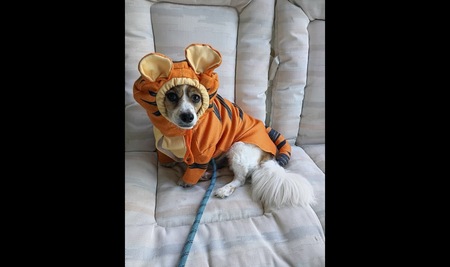 Entry image for Corey. Clicking this image will show a larger photo