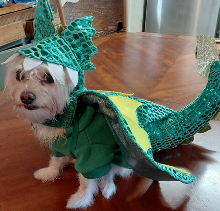 Entry image for Rudy. Clicking this image will show a larger photo