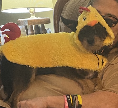 Entry image for Zoey fagan. Clicking this image will show a larger photo