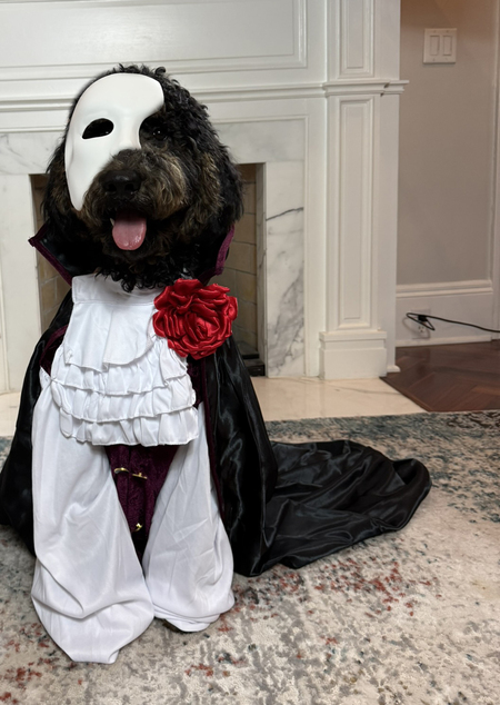 Entry image for Phantom. Clicking this image will show a larger photo