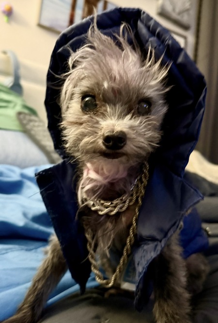 Entry image for Liddell Sly . Clicking this image will show a larger photo