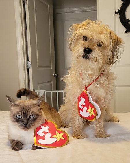 Entry image for Benson & Couscous. Clicking this image will show a larger photo