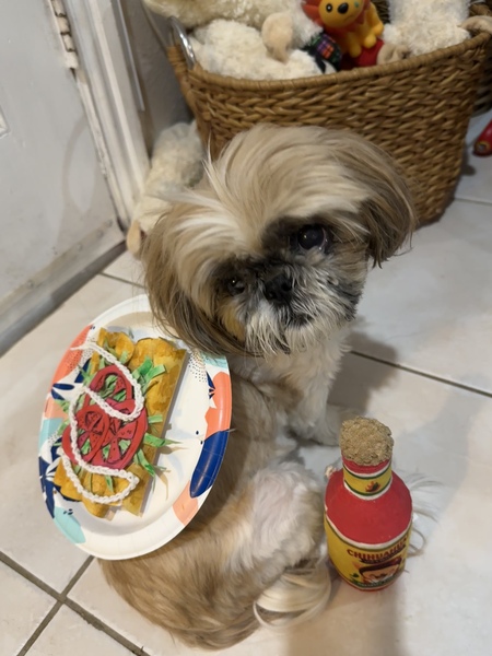 Entry image for Buddy . Clicking this image will show a larger photo